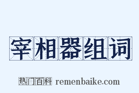 宰相器组词是什么意思的图片